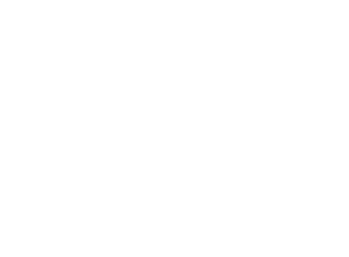 RYD-CS-Offer-warranty100-v3